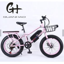 20inch 500W 48V13ah OEM/ODM En15194 Big Tire Front Cargo Rear Cargo Kid Ce Chinese Custom Snow Fat Tire Electric Bike 2